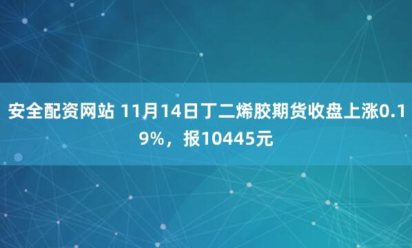 安全配资网站 11月14日丁二烯胶期货收盘上涨0.19%，报10445元